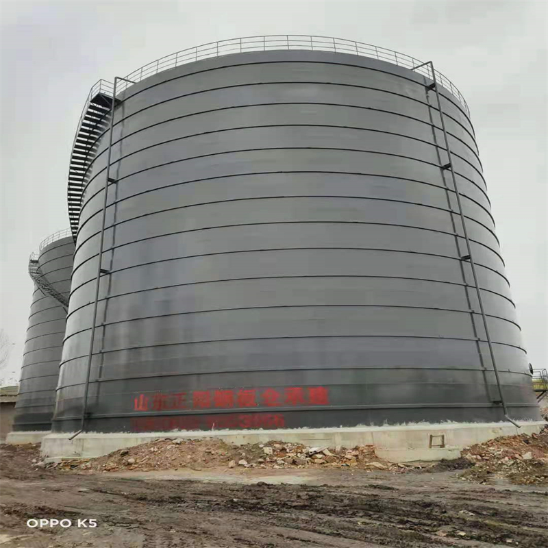 望花3万吨大型钢板库